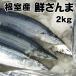 秋刀魚 北海道 さんま とろサンマ 約２kg 17〜19尾 １尾110g前後 根室産 お刺身にできる