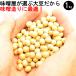  taste . for large legume 1kg large grain Fukushima prefecture production tachinaga is ... rearrangement . not . comb . Pride. bodily sensation campaign ( other )