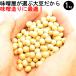 ���X�p�哤 1kg �嗱 �������Y �^�`�i�K�n ��`�q�g�݊����łȂ� �ӂ����܃v���C�h�B�̊��L�����y�[���i���̑��j