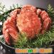  большой шерсть ..1 хвост (K-03) Hokkaido морепродукты комплект Hokkaido морепродукты комплект подарок бесплатная доставка День почитания пожилых людей подарок 