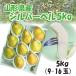  деликатный . аромат высокий освежение . способ тест! подарок груша обыкновенная бесплатная доставка Yamagata префектура производство запад груша порог двери штанга 5kg(9-16 шар )L-4L