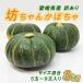  Ehime префектура производство есть перевод . для бытового использования .. Chan тыква 3kg 5 шар из 9 шар ввод .. Chan тыква 