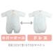 �x�r�[ �� �V���� �p�W���}���h���X ���� ���{�� 50�`60cm ��100% �p�C�� �Ԃ���� �V���� �t �� �H �~ �o�Y���� �މ@���� �֘A�摜4