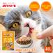  кошка закуска кошка и ... maru tomo официальный . соль и .. стул .40gl maru tomo море . клуб l кошка. закуска собака закуска собака. закуска 