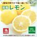  лимон примерно 1.5kg пробный местного производства Ehime производство бесплатная доставка прямая поставка от производителя .. фрукты фрукты . коррозия . защита от плесени . не использование non воск предварительный заказ товар 