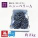  виноград земля изначальный Special производство виноград новый Berry A примерно 2kg Ehime префектура производство бесплатная доставка прямая поставка от производителя прохладный плата включено фрукты фрукты предварительный заказ товар 