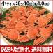 予約販売開始＆お届日指定不可！11/08以降、水揚げがあり次第のお届け(石川県産)訳あり足折れ&サイズ混合 茹で香箱蟹:小サイズ8〜10匹 約1.0kg