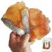  рыбные палочки saketoba ломтик 78g Hokkaido производство лосось tobatoba chip большой ладонь размер еда ..... нет кожа имеется 