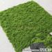  настоящий чувство Moss человеческий труд мох мох коврик искусственная зелень искусственный цветок газонная трава сырой коврик природа . текстура (ткани) . стильный интерьер тоже оптимальный . человеческий труд растения 