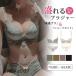 �u���W���[ �V���[�c �Z�b�g �e�� �␳�u�� ���� �u�� ��� ���� ���[�X �ԕ� �e�� ����� �u���V���[�c ���킢�� ���f�B�[�X