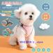 �L�p�����ā��n�[�l�X�����[�h�Z�b�g ������ ���[�h �L�p�i �O�b�Y �L���[�h �L�p���� �����Ђ� �锽�� �ʋC�� �����Ȃ� ���o�����p�i