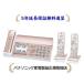  Panasonic KX-PD550DW-N[5 год удлинение гарантия бесплатный ..] цифровой беспроводной обыкновенная бумага faks( беспроводная телефонная трубка 2 шт. имеется )