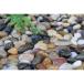 специальный отбор Rainbow Stone оригинал натуральный камень 10kg. цвет камень декоративное растение 5 минут (15~20mm) 8 минут (20~25mm) шар камень Mix двор камень косметика гравий diy садоводство натуральный река шар гравий 
