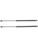 ¹͢ʡOepiutp 1 Pair Tailgate Hatch Lift Supports Rear Left Driver Rig