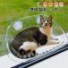  кошка гамак присоска тип домашнее животное bed кошка окно bed мощный присоска для помещений сон движение .. кошка для легко устанавливается 4 сезон двоякое применение город Хюга bed -тактный отсутствует аннулирование кошка сопутствующие товары 
