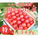  вишня Sato . Special L500g бесплатная доставка Yuzawa город три . maru ya Sato сельское хозяйство .