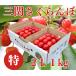  вишня Sato . Special 2L1kg бесплатная доставка Yuzawa город три . maru ya Sato сельское хозяйство .