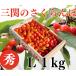  вишня Sato . превосходящий L1kg бесплатная доставка Yuzawa город три . maru ya Sato сельское хозяйство .