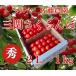  вишня Sato . превосходящий 2L1kg бесплатная доставка Yuzawa город три . maru ya Sato сельское хозяйство .
