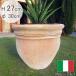�C�^���A�� �󂠂� �������� �e���R�b�^ �v�����^�[ ��30cm �t�����[�|�b�g VT12427 �� ���E���h �A�ؔ� ������� �W���i���ʃZ�[��