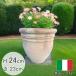 �C�^���A �󂠂� �������� �e���R�b�^ �v�����^�[ ��23cmVT12427-2 �t�����[�|�b�g ���E���h ������� �A�ؔ� �A���e�B�[�N�� �W���i�Z�[��