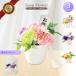 �\�[�v�t�����[ �t�����[�|�b�g ��16cm �e �L�N �V���{���t�����[ ���� �N���A�P�[�X�t�� �������� ���� ���d ���� �@�� ���� ������� ����Q�� �̐l s-131