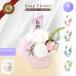 �\�[�v�t�����[ �t�����[�|�b�g ��16cm �o�� �e �V���{���t�����[ ���� �N���A�P�[�X�t�� �������� ���� ���d ���� �@�� ���� �ԍՒd ������� ����Q�� s-159