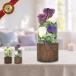 �\�[�v�t�����[ ������ ���� �N���A�h�[�� ���^ �P�[�X���� ���� �͂�Ȃ� ������� ���� �@�v ����� ���~ ���ފ� ���d�p �y�b�g���{ 2�F sh-074