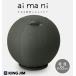 KING JIM King Jim подставка имеется фитбол aimani I mani глубокий зеленый 55cm AHC030-G