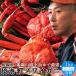  crab red snow crab refrigeration 1kg[2-3 cup ]....... tilt red snow crab Japan sea Tottori prefecture production .. direct delivery from producing area [ high class gift 2024]