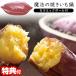 TV�ŏЉ� �C�V�K�L �d�q�����W��p �Ă����� �ƒ�p ���@�̏Ă������� ���M�Z���~�b�N�{�[���t �����W �ΏĈ� �Ă������[�J�[ ���@�̏Ă����@ �Ă������}�V��