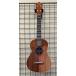  полная распродажа сильно сниженная цена!tkitki ukulele HKT-ABALONE Tenor новый товар 