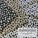 Dalmatian( далматинец ) Jaguar do трикотаж 