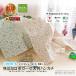 �n���J�` �唻 45�~45cm ���ԕ� 2���Z�b�g ���ɗD�������c���Y���k�[�f�B�R�b�g��2�d�K�[�[ ��100�� ���{�� ������ �G�R�e�b�N�X�F�� �q���� �o���_�i