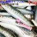  замороженная наживка ma иваси большой размер 1kg[1kg по небольшое количество .] 1kg на примерно 11 шт рыболовная приманка подлинный ...... рыбалка корм .. приманка тропическая рыба аквариумная рыбка аравановые пресноводная рыба приманка рыбалка . покупка 