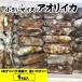 ( sale ) flap squid ( freezing ) small 1kg.(5-8 cup rom and rear (before and after) go in ) size don't fit ( Hyogo prefecture . slope production )( flap ..* water ..* water squid *...*mo squid *..* high class )