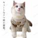  кошка. одежда вязаный свитер кошка одежда домашнее животное одежда собака. одежда домашнее животное одежда кошка симпатичный свитер весна осень-зима симпатичный Bear рисунок осень одежда зима одежда .