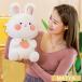 �ʂ������ ���� ������ �e �E�T�M�ʂ������ ���� �ӂ�ӂ� �傫���T�C�Y ���@�\ �֎q �\�t�@�[�w���� ������ �Y���Q�� �v���[���g �傫�� �J�o�[�􂦂�