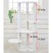 [ детали ](B) ткань paul (pole) )|51.5cm( Bianca )