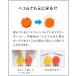 �J���[�{�[�� �{�[���v�[���p �\�t�g �{�[�� 5.5cm 200���� �� �� �� �������� ���V�� �ߋ� �q�� �L�b�Y �J���t�� �p�X�e�� RiZKiZ �������� �֘A�摜4