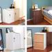 ���t�[1�� ���� �I �L���r�l�b�g ���t�� ���[���b�N 2�i 40x40x60cm ���b�J�[ ���[�I ���t�� ���t�� �t�@�C�����b�N �J���[�{�b�N�X �������� �֘A�摜4