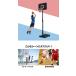 ���t�[1�� �o�X�P�b�g�S�[�� ���O �����p �ړ��� 8�i�������� 200cm-305cm �� �o�X�P�b�g�{�[�� �~�j�o�X ���K �����T�C�Y ���� �ƒ�p FIELDOOR �������� �֘A�摜3