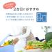���Ԍ���|�C���g5�{�I �Ⓚ�� �ƒ�p 100L ��J�� ���^ �É� ��e�� �ȃG�l �ЂƂ��炵 ��l ��炵 ���x���� �Ⓚ�X�g�b�N �ߓd �O���[ MAXZEN JF100HM01GR �֘A�摜2