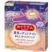 花王 めぐりズム 蒸気でグッドナイト ラベンダーの香り 5枚入