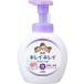 ライオン キレイキレイ 薬用泡ハンドソープ フローラルソープの香り 本体大型サイズ 500mL