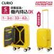 ॽʥ AO8*36038 CURIO SP55 SOLAR YELLOW 顼 ĥ