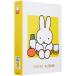 na бегемот cocos nucifera файл карман альбом Dick * bruna желтый 