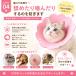 �G���U�x�X�J���[ �� �L �y�� �\�t�g ��p �Ԍ^ �r�ߖh�~ ���r�ߑ΍� �p��P�A S M L 3�F �֘A�摜4