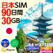 ���{�����p 4�L�����A�Ή� �v���y�C�hSIM�J�[�h 30GB/90���� �f�[�^��pSIM �`���[�W�� nano/micro/�W��SIM�}���`�J�b�gSIM�t���[�X�}�z�p �}���~