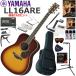 YAMAHA Yamaha LL16 ARE/BS акустическая гитара начинающий комплект губная гармоника . входить .. сильнейший 19 позиций комплект 